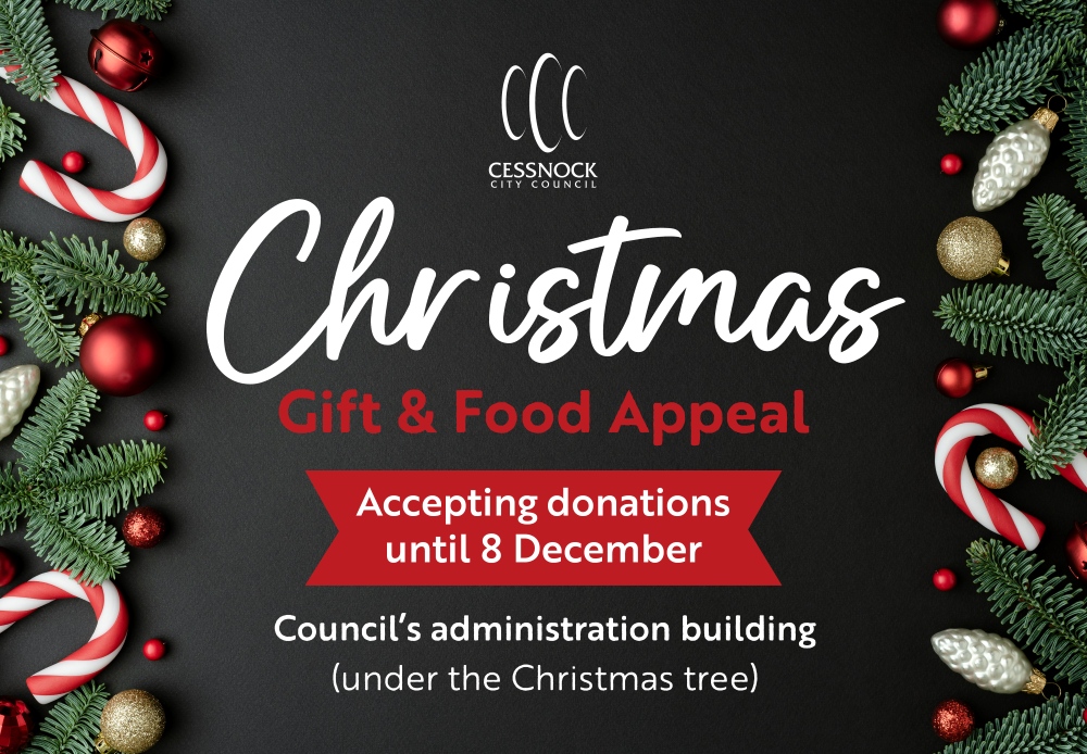 2025_Christmas Gift Food Appeal_Intranet Tile.jpg