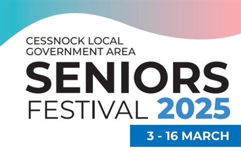 Web Tile Seniors Festival.jpg